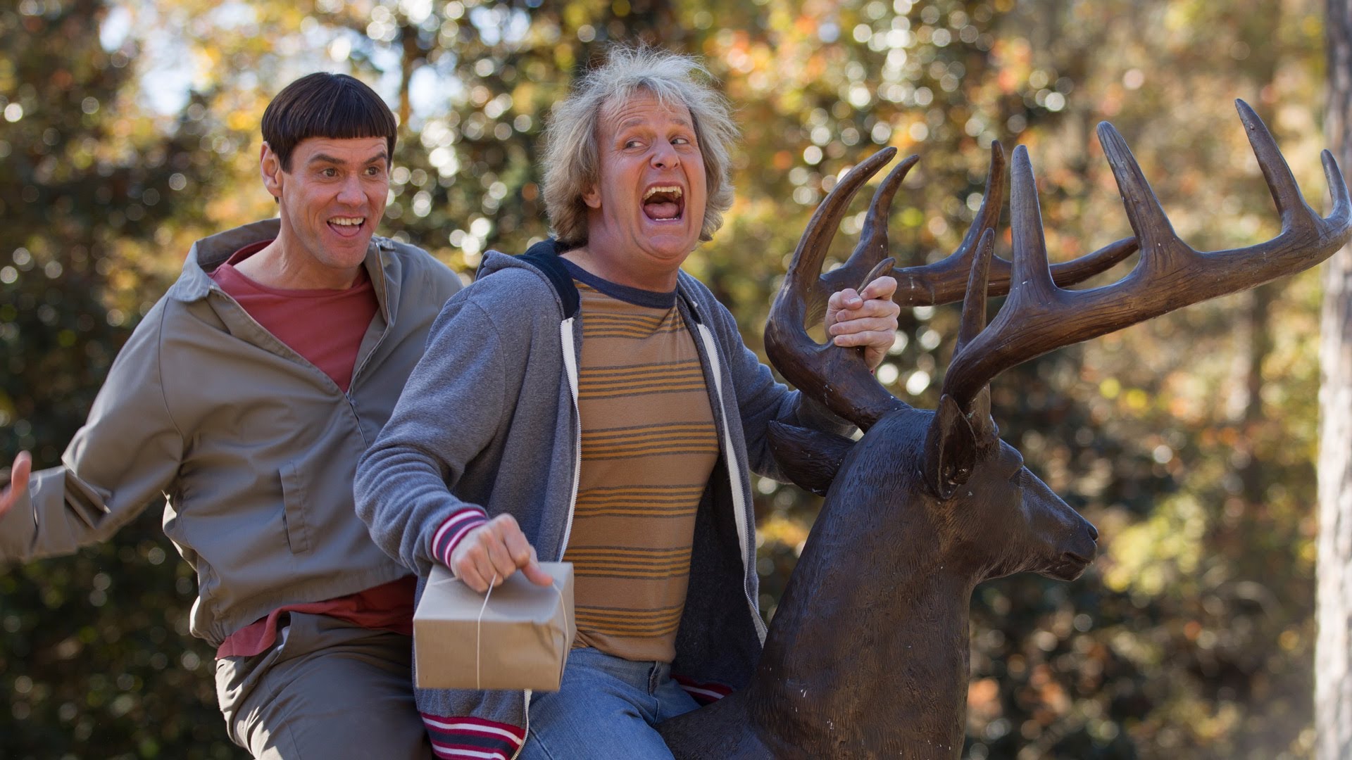 Movie Review: Dumb and Dumber To