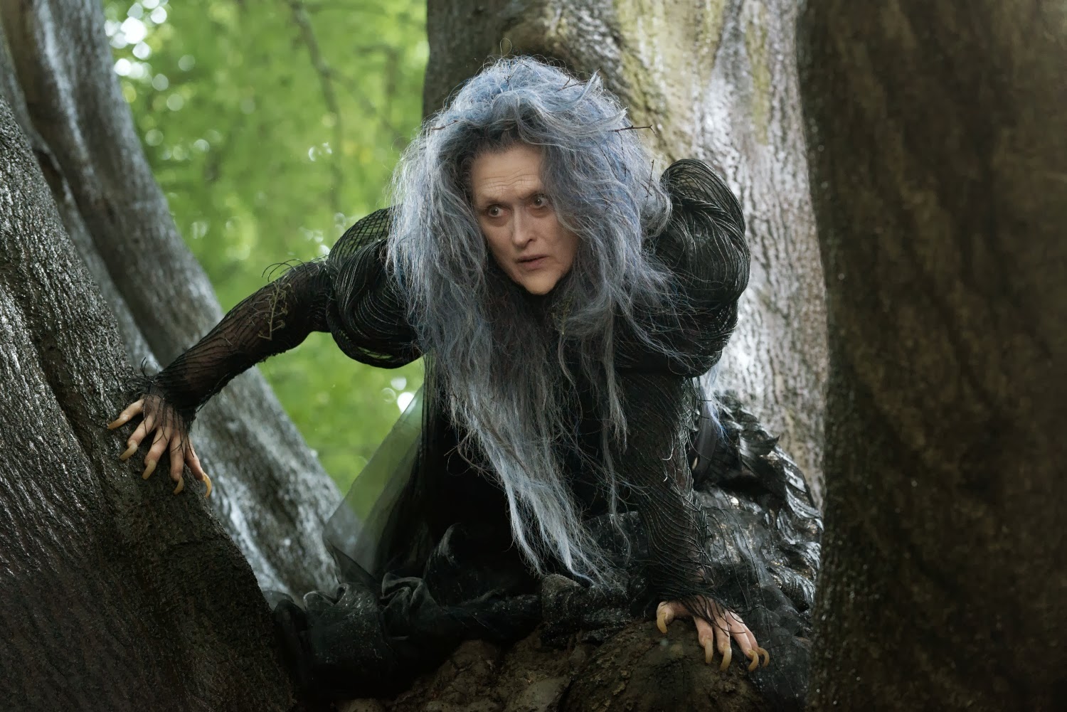 Movie Review: Into the Woods