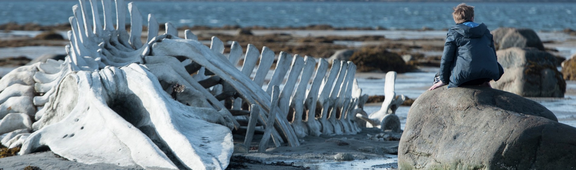 Movie Review: Leviathan