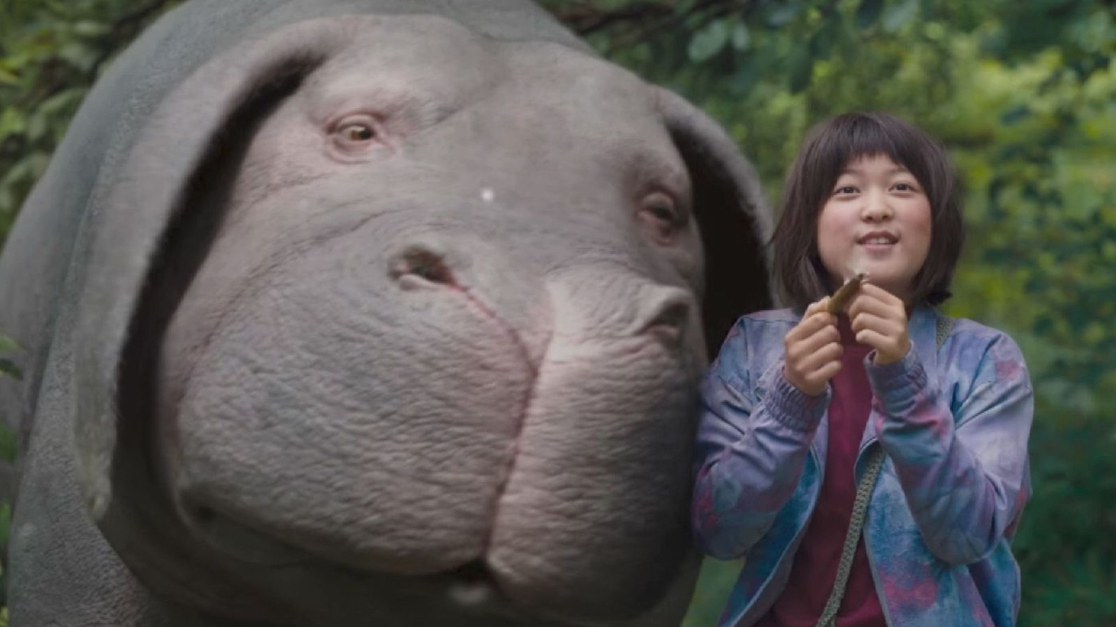 Movie Review: Okja