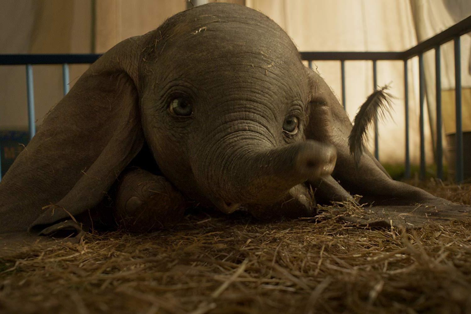 Movie Review: Dumbo