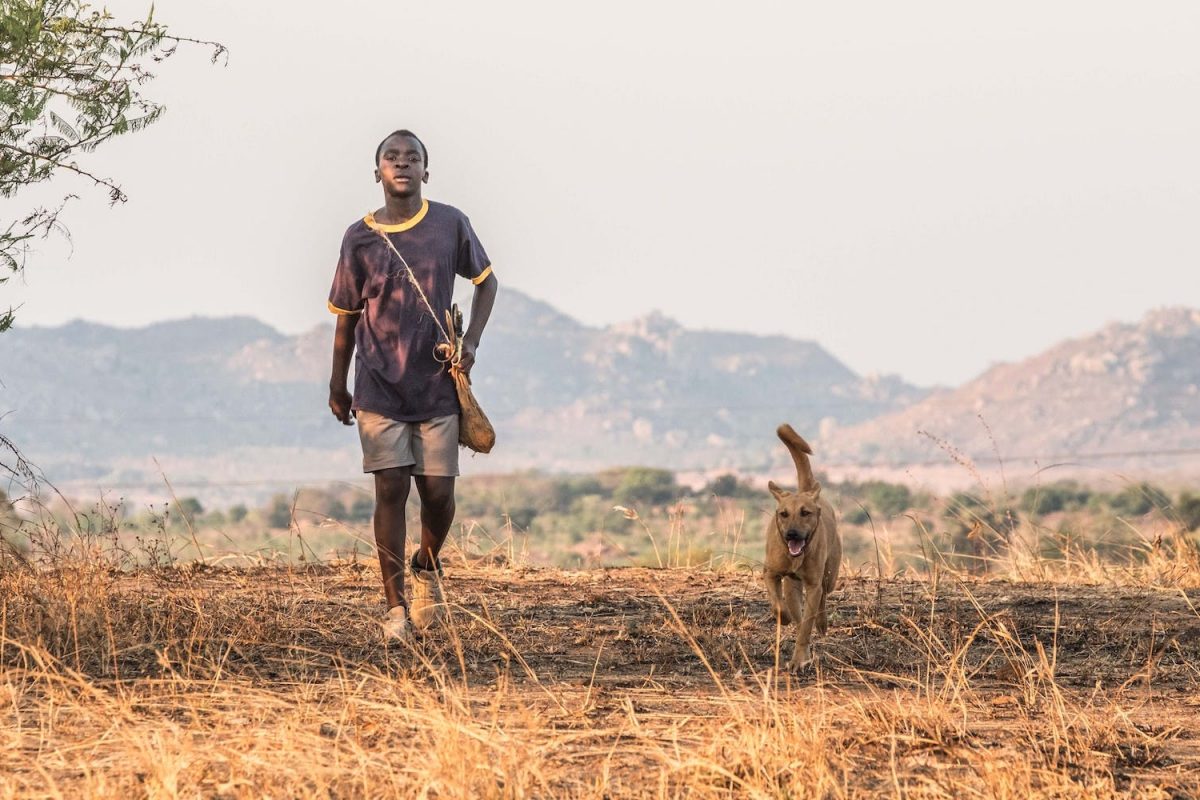 Analysis Of The Boy Who Harnessed The Wind