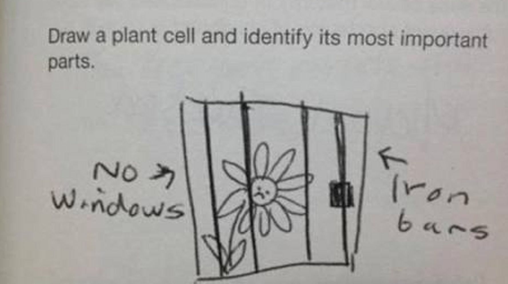 Covid Classics: Well… Technically, Classics