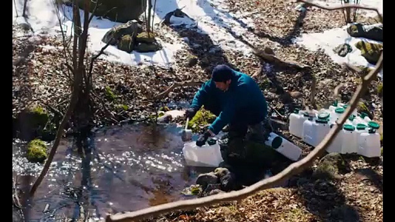 Movie Review: Evil Does Not Exist