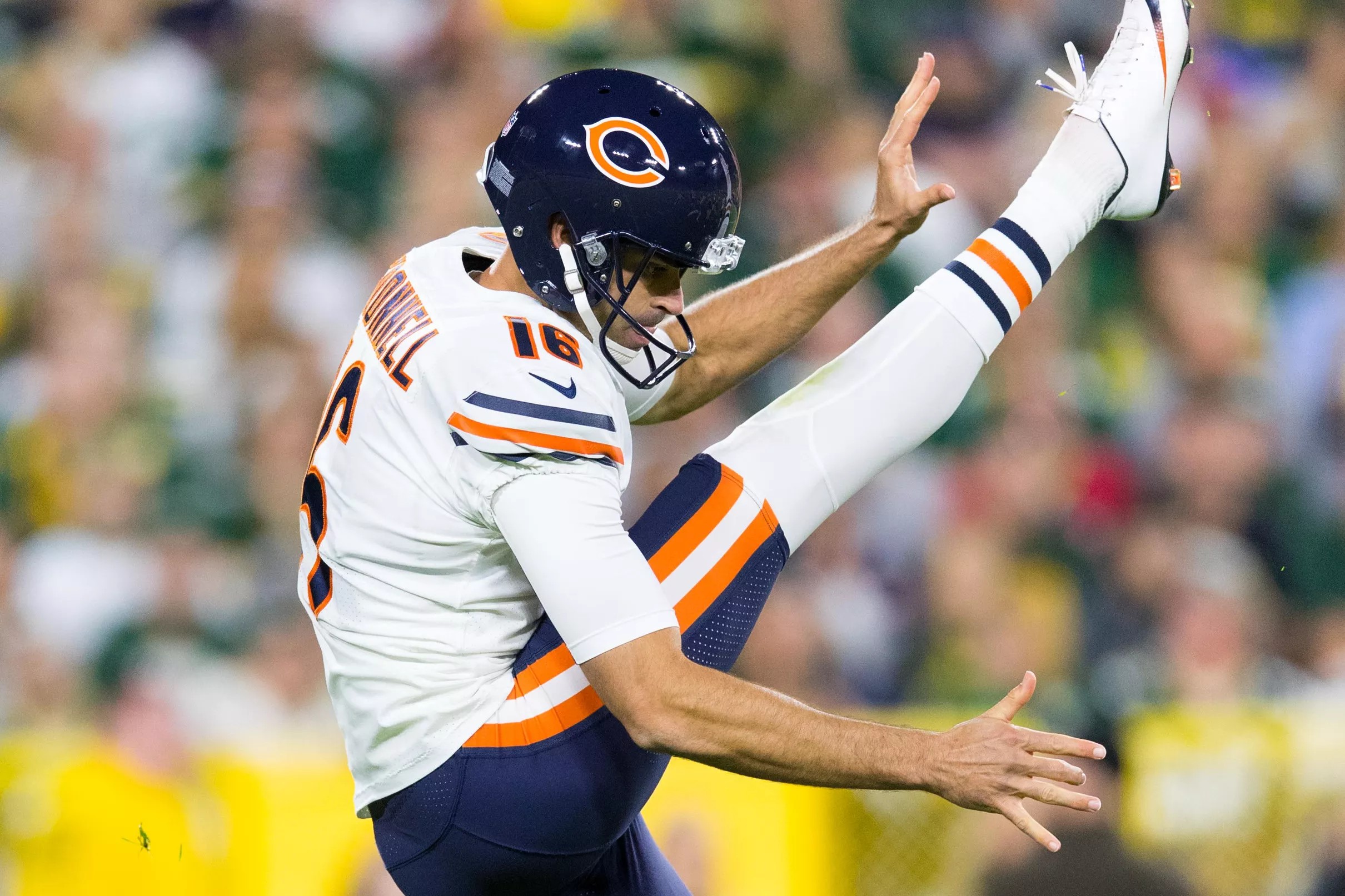 Everyone Punted: Most Anticipated Movies of the Rest of 2024