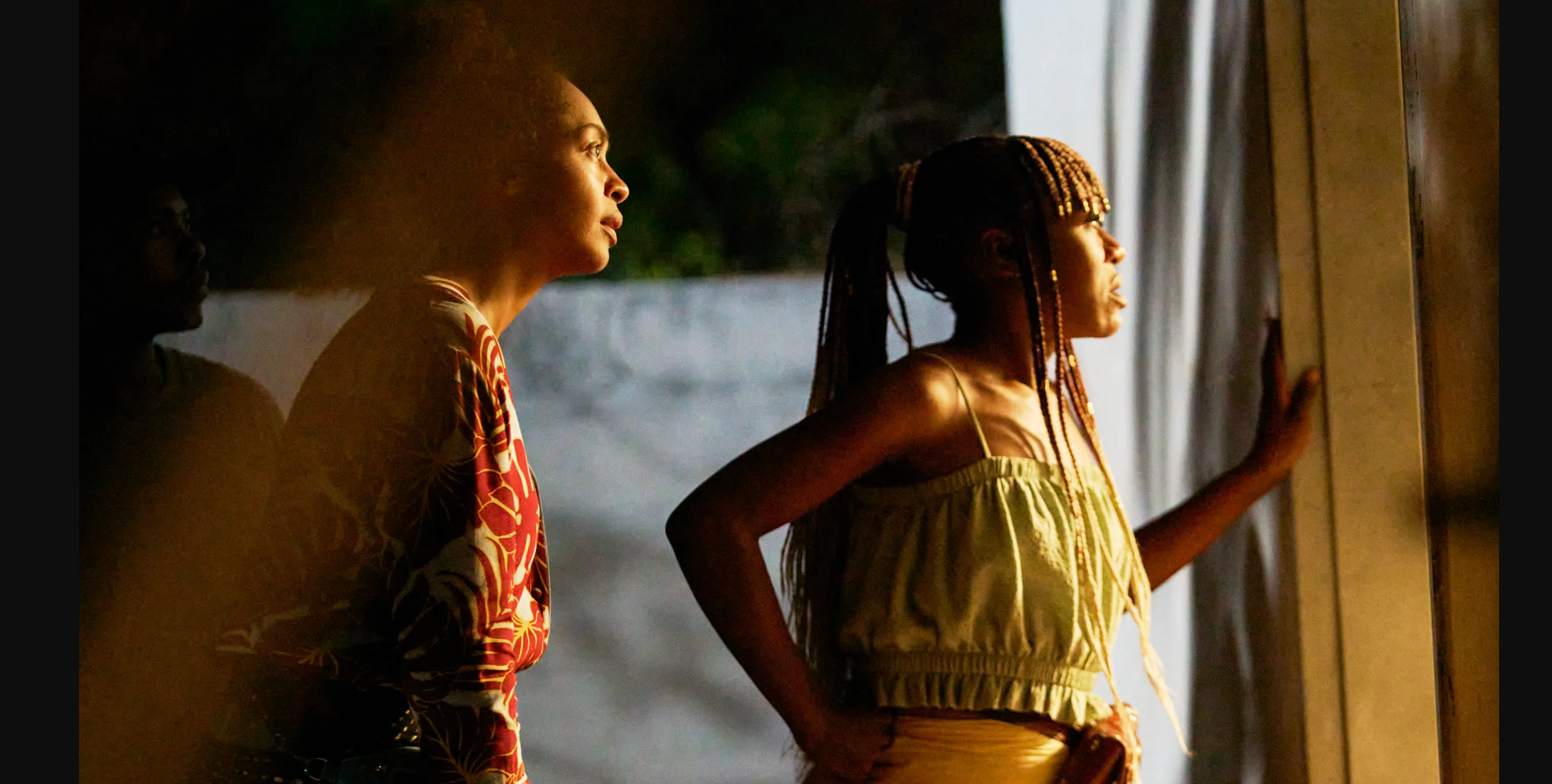 Movie Review: On Becoming a Guinea Fowl