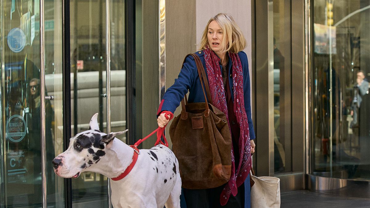 Movie Review: The Friend