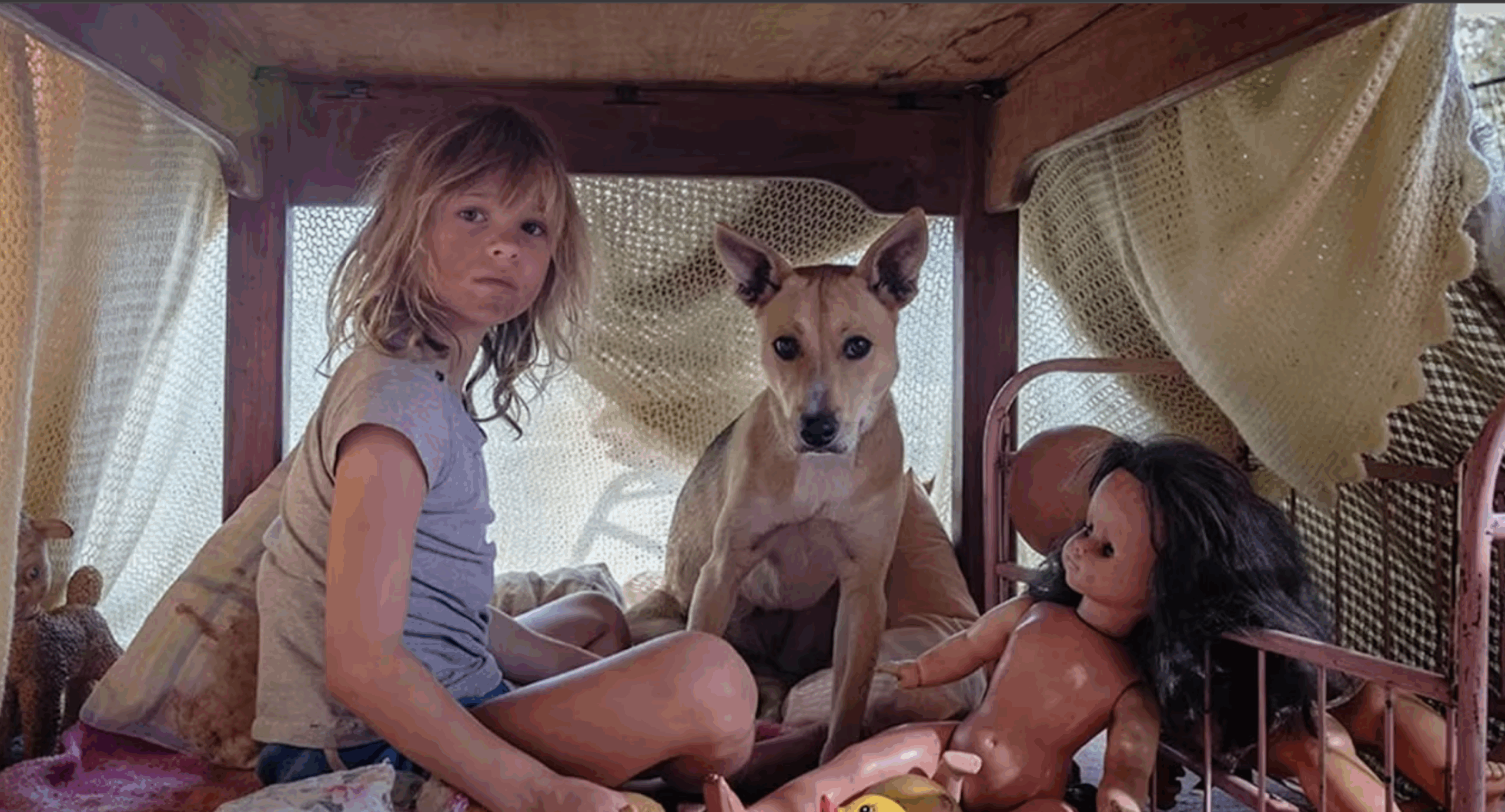 Movie Review: Don’t Let’s Go to the Dogs Tonight