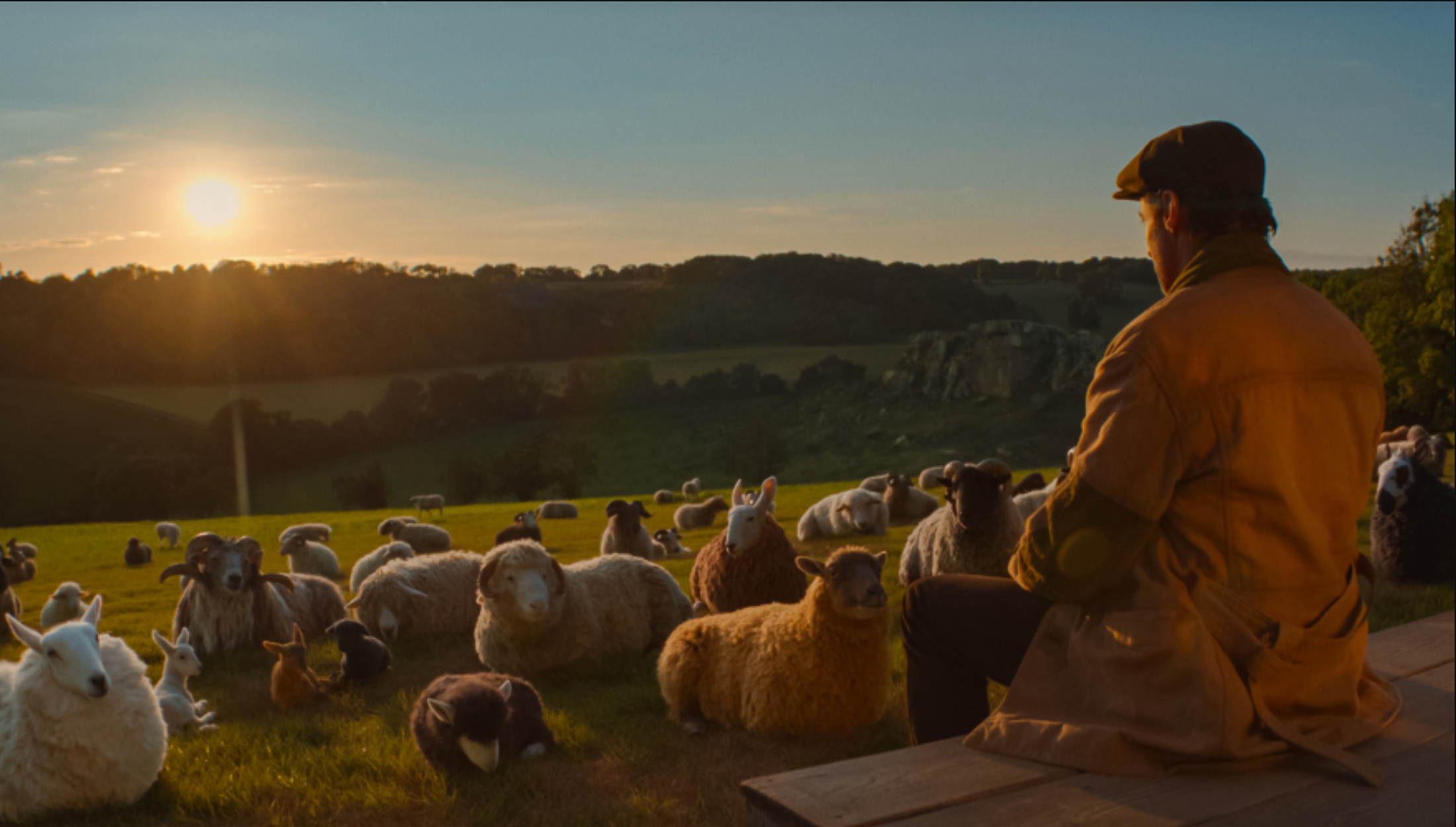Movie Review: The Sheep Detectives