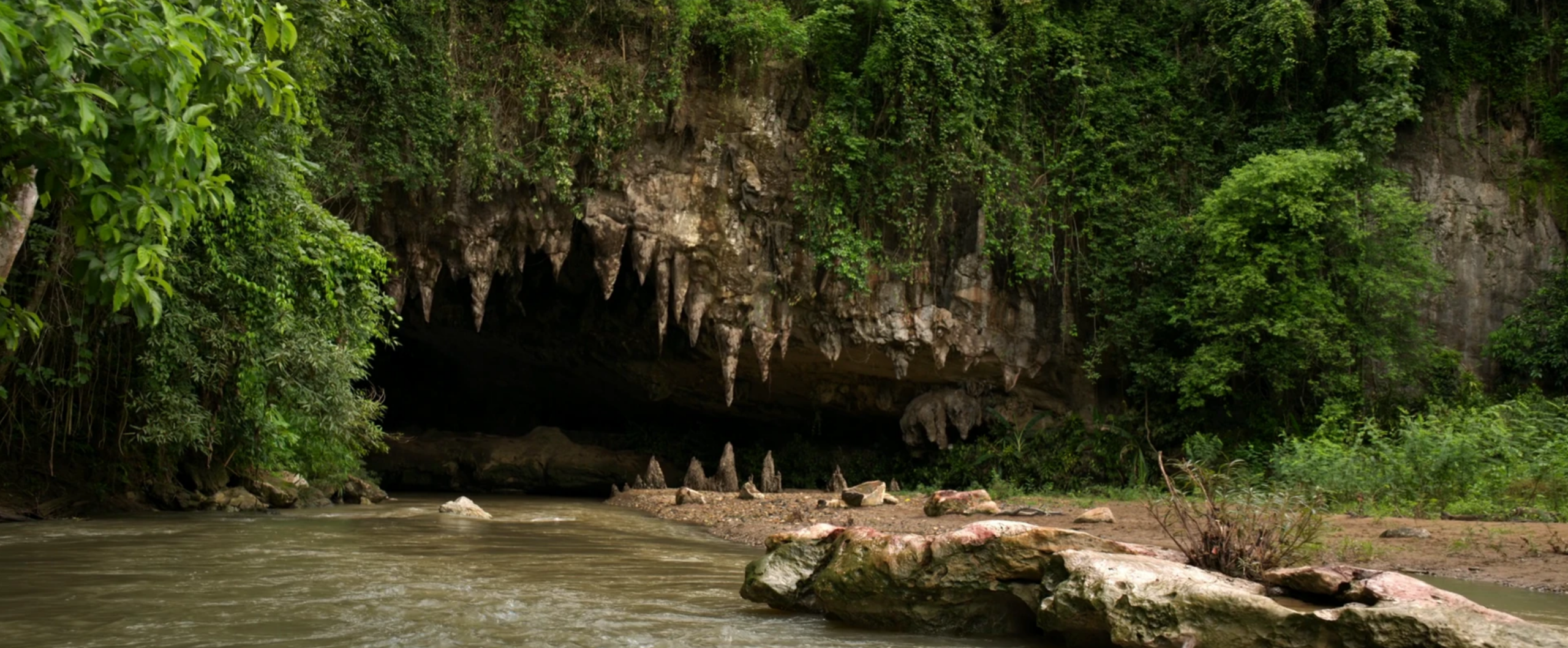 Movie Review: The Devil’s Mouth